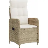 vidaXL Buiten Eettafel Set 9 st Beige en Crème Wit poly rattan