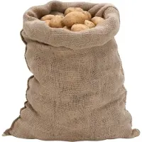 vidaXL Jutezakken 5 stuks 60x105 cm 100% jute 220 g/m²