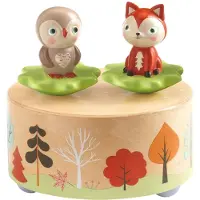 Djeco Magnetische muziekdoos - Melodie van het bos - - OneSize - Magnetisch speelgoed