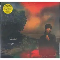 Konkurrent Sharon Van Etten - We've Been Going About This All Wrong (LP) (Coloured Vinyl) (Limited Edition)