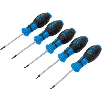 Bgs Schroevendraaierset T-profiel (voor Torx) T6 - T10 5 stuks. (T-profiel)