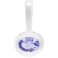 Cavill - Zilveren Hangertje 925 Sterling Zilver met Palladiumlaag - Tanzaniet Ovaal 0,7 Ct Briljant - Elegant Paars Edelsteen Sieraad - 18x10 mm