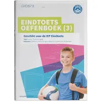 Junior Einstein BV Eindtoets Oefenboek 3 (Paperback)