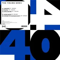 Pias Young Gods - [] 40 (12" Single)