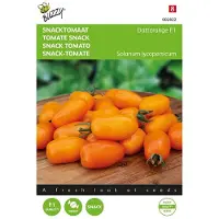 Buzzy Zaden snacktomaat dattorange f1 8 zaden