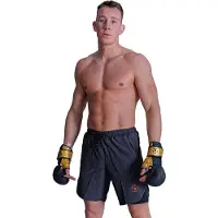 Nihon MMA-trainingshandschoen | Zwart / Goud (Maat: L)