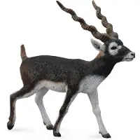 Collecta Wilde Dieren Antiloop Zwarte Bok 8.4 X 7.9 cm