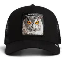 GOORIN BROS. Pet 'Wise Ass' zwart