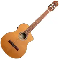Ortega Thermo 4/4 + Pro Gig Bag
