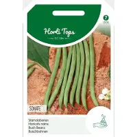 Intratuin Groentezaad Stamslaboon (Phaseolus Vulgaris 'Sonate')