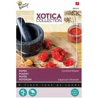 Buzzy seeds Xotica, Peper Carolina Reaper