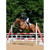 LeMieux Zadeldek Loire Classic Square Close Contact Springen Wit