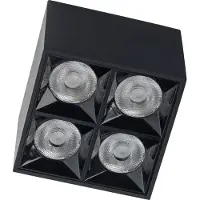 Lyora Zwarte opbouwspot Midi Led 2x2 leds - 4000K