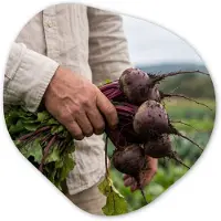 MuchoWow Organische wanddecoratie 40x40 cm - Organisch schilderij Bieten - Vers - Moestuin - Muurdecoratie woonkamer - Kamer decoratie - Schilderijen - Muurcirkel aesthetic
