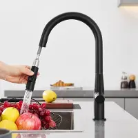 CECIPA MAX Keuken kraan - Keukenkraan Met Uittrekbare Uitloop met 2 straalsoorten - Spoelkraan 360° Draaibaar Mengkraan - Zwart