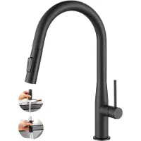 CECIPA MAX Keukenkraan met Uittrekbare Uitloop - Keukenmengkraan - Handdouche - Uittrekbaar - 2 straalsoorten - Zwart