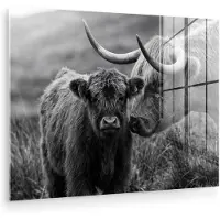 MuchoWow Glasschilderij 160x120 cm - Schilderij acrylglas - Schotse hooglander - Kalf - Zwart - Wit - Foto op glas - Muurdecoratie woonkamer - Wanddecoratie slaapkamer - Schilderijen