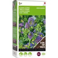 Buzzy Seeds Groenbemester Klaver Lucerne (Medicago Sativa) 200 G