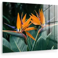 MuchoWow Glasschilderij 160x120 cm - Schilderij acrylglas - Paradijsvogel - Bloem - Exotisch - Foto op glas - Muurdecoratie woonkamer - Wanddecoratie slaapkamer - Schilderijen