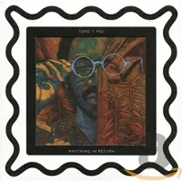 Konkurrent Toro Y Moi - Anything In Return (CD)