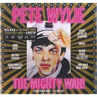 Chrysalis TEACH YSELF WAH! - THE BEST OF PETE WYLIE &AMP; THE MI