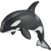 Collecta Figurine - Orka Kalf - (M) - Zeedieren - Handgeschilderd - Miniatuur