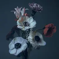 UNIVERSAL M CNT L'impermanence