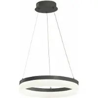 REALITY IMPORT Antraciet LED Ringlamp Cornelia 4000K 24W - Stijlvol en Modern