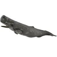 Collecta Walvis (soort: casalot) - figuurtje van een dier