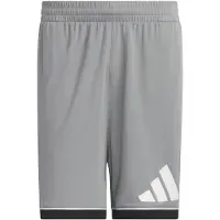 Adidas Sportbroek 'Badge of Sport' grijs / zwart / offwhite