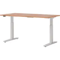 Hjh OFFICE PRO XMKA 16 W | 160x80 | elektrisch in hoogte verstelbaar - Beuken 160 x 80 Tafelhoogte I Elektrisch in hoogte verstelbaar