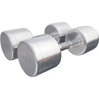 Gorilla Sports Dumbellset 25 kg (2 x 12,5 kg) Chroom