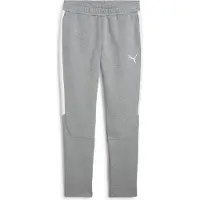 Puma Sportbroek 'teamEvostripe' grijs / wit