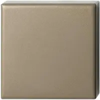 GPF bouwbeslag Blinde vierkante rozet 50x50x8 mm Champagne blend