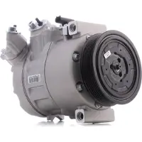 RIDEX 447K0244 Aircopomp