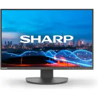 Sharp 60006210 DD-EA241W Black 24" LCD monitor WUXGA (1920x1200) DP HDMI 150 mm height adjustable