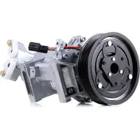 RIDEX 447K0338 Aircopomp