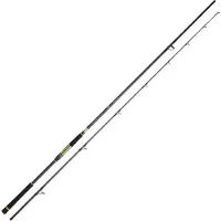 Daiwa Crosscast Shore Jigging Rod Zilver 3.05 m / 28-84 g