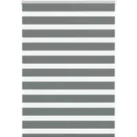vidaXL Zebra rolgordijn 95x150 cm stofbreedte 90,9 cm donkergrijs