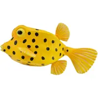 Collecta Figurine - Gele Koffervis - (S) - Zeedieren - Handgeschilderd - Miniatuur