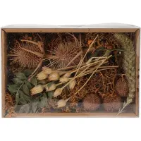 Koopmann Droogbloemen Mix In Doosje Nature Home & Styling Natuurlijke decoratie