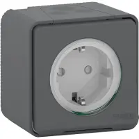 Schneider Electric Mureva Styl wandcontactdoos 1-voudig IP55 antraciet