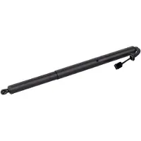 FEBI BILSTEIN 179325 Gasveer achterklep