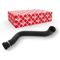 FEBI BILSTEIN 49182 Radiateurslang