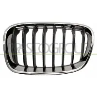 PRASCO BM1232024 Radiator grill