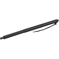 FEBI BILSTEIN 179317 Gasveer achterklep