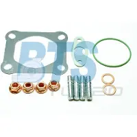 BTS Turbo T931044ABS Turbocharger, montageset