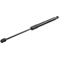 FEBI BILSTEIN 198251 Gasveer achterklep