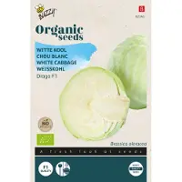 Buzzy Organic Witte Kool Drago F1 (BIO)