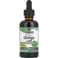 Natures Answer - Ginkgo Blad Extract, 2000 mg - 60 ml